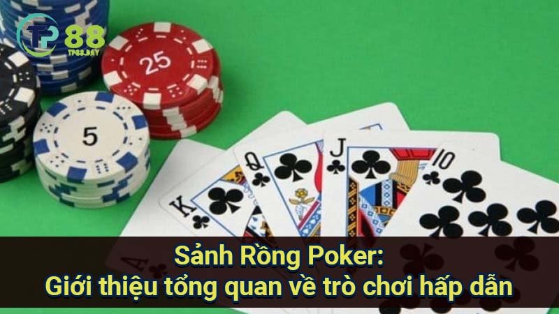 Sảnh Rồng Poker: Phân tích xác suất và tỷ lệ thắng 5 sanh-rong-poker:-gioi-thieu-tong-quan-ve-tro-choi-hap-dan