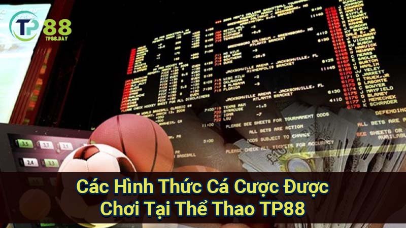 Thể Thao TP88 - Khám Phá Sân Chơi Đam Mê Dành Cho Fan Hâm Mộ 3 cac-hinh-thuc-ca-cuoc-duoc-choi-tai-the-thao-tp88